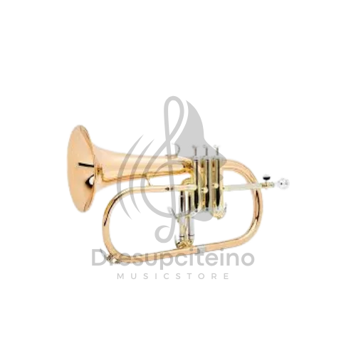 Brass Instruments